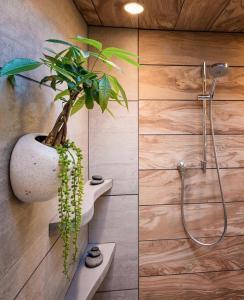 BIOPHIlIC DESIGN FOR BATHROOM